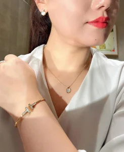 (image for) Tiffany TT1 Circle Earrings