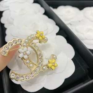 Luxury Womens Jewelry Chanel Vintage Double Crystal CC Logo Brooch A152PP140 AA146759