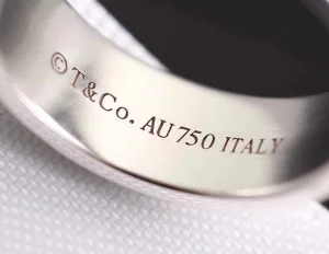 Luxury Womens Jewelry Tiffany T Two Narrow Diamond Ring A205PP300 AA146897