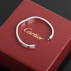 Luxury Womens Jewelry Cartier Vip Diamonds Love Bracelet in Silver A205PP680 AA150075