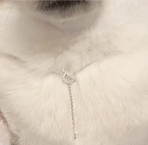 Luxury Womens Jewelry Hermes Finesse Diamond Necklace Silver A205PP200 AA150803