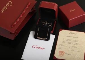 Luxury Womens Jewelry Cartier Clash De Cartier Necklace A205PP260 AA155650