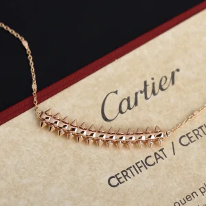 Luxury Womens Jewelry Cartier Clash De Cartier Necklace A205PP260 AA155650