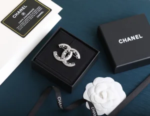 Luxury Womens Jewelry Chanel Brooch Chanel Crystals CC Logo Brooch A152PP150 AA171218