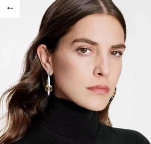 Luxury Womens Jewelry Louis Vuitton Earring LV My LV Earrings A152PP150 AA171975
