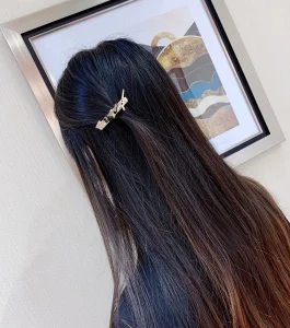 Luxury Womens Jewelry Chanel Hair Clip Chanel 2022 Coco Hair Clip A205PP160 AA172998