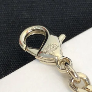 Luxury Womens Jewelry Chanel Necklace Chanel Padlock Chain Necklace A39PP160 AA174182