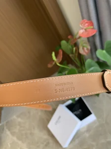 Replica Womens Belts Celine Triomphe Brown Calf Leather Belt 25MM A175PP240 AA187256