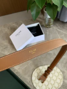Replica Womens Belts Celine Triomphe Brown Calf Leather Belt 25MM A175PP240 AA187256