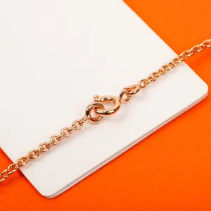 Essenceofluxury Womens Jewelry Hermes Amulettes Constance Necklaces in Blue A152PP380 AA196012