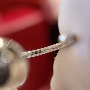 Essenceofluxury Womens Jewelry Cartier Juste un Clou Earrings in White Gold A173PP380 AA200862