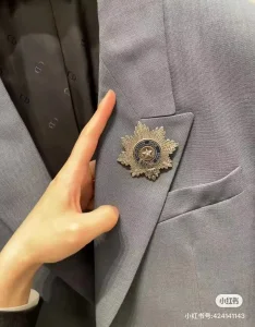 Dior Buffalo Star Brooch Silver
